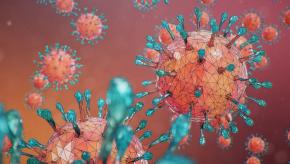 COVID.Flu_.Virus_.jpg (keep)