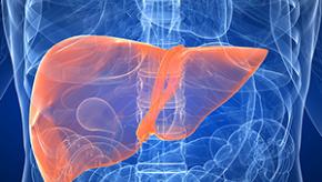 liver.jpg