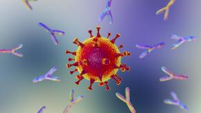 COVID Test Antibody