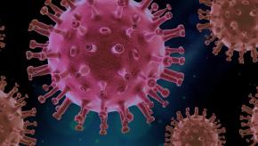 covid coronavirus virus