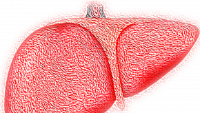 liver,hepaitis,pink,gb