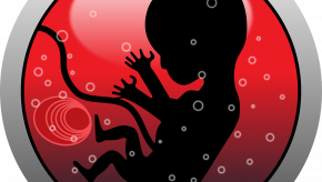 pregnancy,embryo,fetal