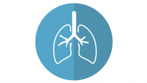 Lungs breathing